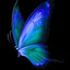 🦋