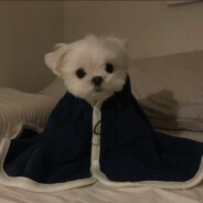 你像星星那么闪i