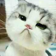 一直下棋一直爽