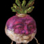 RandyTurnip