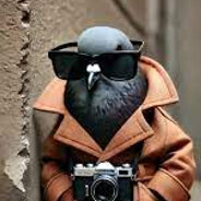 ШПИОНИРОГОЛУБИНО