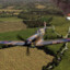 ~SPITFIRE-41SQN~