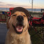 Kingzera-