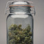 Jar of weed