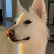 云汉🏳️‍🌈