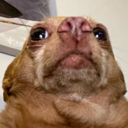 Maaxxx - steam id 76561198144925929