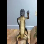 eshek's avatar