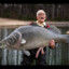 FishNuts
