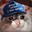 Mr.Sad Kitty