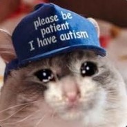 Mr.Sad Kitty