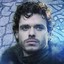 ROBB STARK the king in the north