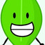 Leafy from BFDI