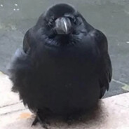 Da Crow