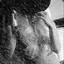 Twitch/Coyote_xs