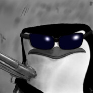 zelNHL Steam avatar