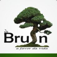 de Bruin