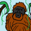 Sumatran Orangutang