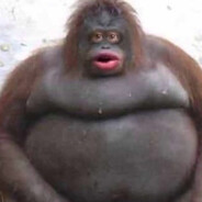 Ooga Booga