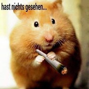 NAME_1S_N0T_IMP0RTANT