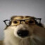 Sillydog67