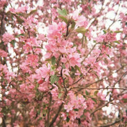 吉建最后的疯线