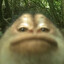 EBLO