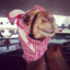 happycamel_