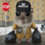 Syberian Hamster