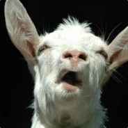 Retardált Kecske (hentelés)