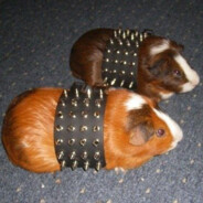 HamsterUltraViolence