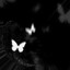 remorse