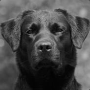 Helten - steam id 76561197963249440