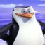 Skipper