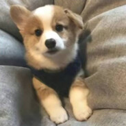 超人真的不会飞