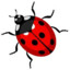 reddotty