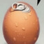 Egg