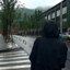 牛油果