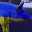 Чикен