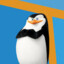 Skipper