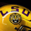 Geaux Tigahs