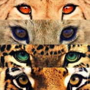 BeHa - steam id 76561199766499121