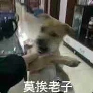 重案组之虎曹达华