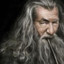 Gandalf der Graue