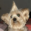 BITUCO