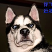 名字不是一般的长！！！！！！！！！！