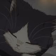 Mizumi