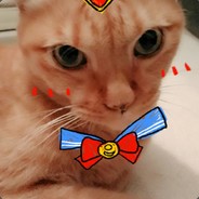 給葛格摸摸ლ(•ω •ლ)