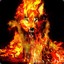 Blazing Wolf