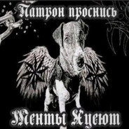 бурундук (prime)