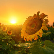 听着音乐玩游戏 嗨起~